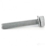 Комплект ремня ГРМ VAG I1EC RG 25538584 N 900 637 06 - Изображение 2