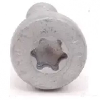 Винт с полукр.гол. и внут.TORX VAG PM0IABN 1421932006 N 0WGV N 10124306 - Изображение 3