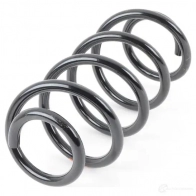 Пружины подвески передние VAG 21434220 8K0 411 105 DF S9 F5Z - Изображение 1