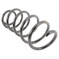 Пружины подвески передние VAG DHW5R H 3C0 411 105 C 21434086 - Изображение 3