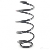 Пружины подвески передние VAG 22579624 1K0 411 105 BD XS GPGNX - Изображение 1