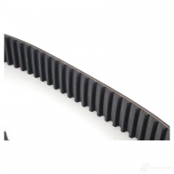 Комплект ремня ГРМ VAG C 36JC 077 198 119 A 24016892 - Изображение 11