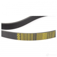 Приводной ремень, поликлиновой VAG 23161184 028 260 849 L DCX FM - Изображение 2