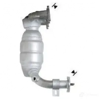 Катализатор VEGAZ IN29 Z 1437917636 fk807