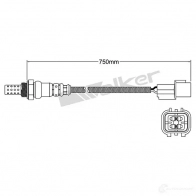 Лямбда зонд, кислородный датчик VEGAZ uls441 1437896507 FDO3TF W - Изображение 2