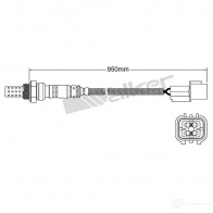 Лямбда зонд, кислородный датчик VEGAZ 1437896521 BC48 L dls190 - Изображение 2