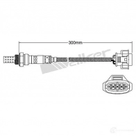 Лямбда зонд, кислородный датчик VEGAZ uls667 E TL4A 1437897104 - Изображение 2