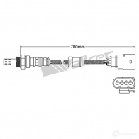 Лямбда зонд, кислородный датчик VEGAZ uls651 Q4 WU7R 1437896463 - Изображение 2