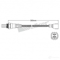 Лямбда зонд, кислородный датчик VEGAZ CG CEPX uls222 1437896644 - Изображение 2