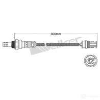 Лямбда зонд, кислородный датчик VEGAZ 1437896625 uls146 8VJ IV - Изображение 2