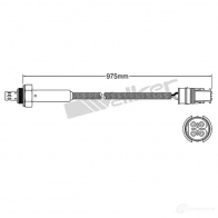 Лямбда зонд, кислородный датчик VEGAZ 1LR4 WS uls259 1437897341 - Изображение 2
