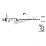 Лямбда зонд, кислородный датчик VEGAZ R8 XL0 1437897508 dls187 - Изображение 2