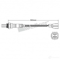 Лямбда зонд, кислородный датчик VEGAZ uls438 49F I9 1437897464 - Изображение 2