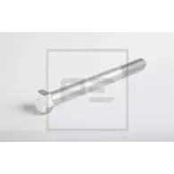 Палец ушка рессоры PE AUTOMOTIVE WXM 4Y 784939 254.002-00A 007BZ8