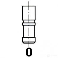 Выпускной клапан IPSA WYZ M8T 8112000002006 vl016600 1979413