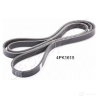 Приводной ремень, поликлиновой JAPANPARTS FN5 AWH 1482250 8033001455847 dv4pk1615
