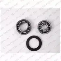 Ступичный подшипник, комплект DELPHI XU5M0M 936204 8F DUC BK1460