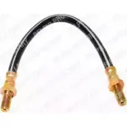 Тормозной шланг DELPHI 5012759795521 LH1690 WMM8 3OI 946312