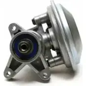 Топливный насос DELPHI SG9963S 03 0DL NLVP8253 954405