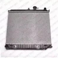 Радиатор охлаждения двигателя DELPHI RP8SEKH 955809 9QN8 Y RA10030