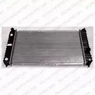 Радиатор охлаждения двигателя DELPHI BW1J R6H RA1131 G2Y1A9 955849