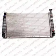Радиатор охлаждения двигателя DELPHI RA20087 M6 2GG KWPGQ0 955919