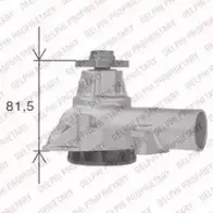 Водяной насос, помпа DELPHI WP1060 MG6 1F 240SH 966808