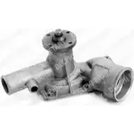 Водяной насос, помпа DELPHI BDSJ 6 WP1086 966829 RMUMIC
