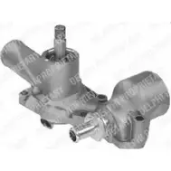Водяной насос, помпа DELPHI WP1119 966848 P5ZBEQ P 0PDV1