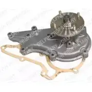 Водяной насос, помпа DELPHI AB7YG9 I WP2117 967174 85SLC