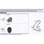 Комплект ремня ГРМ MAGNETI MARELLI 341310161101 Opel Corsa (B) 2 Хэтчбек 1.5 TD (F08) 67 л.с. 1993 – 2000 E X/MM1016K1 LCA91EX