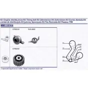 Комплект ремня ГРМ MAGNETI MARELLI Ford Fiesta 4 (DX, JA, JB) Хэтчбек 1.8 D 60 л.с. 1995 – 2000 IDPL1 EX/MM1086K1 6 341311911104