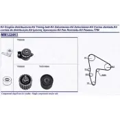 Комплект ремня ГРМ MAGNETI MARELLI 112P8 341312241101 Renault Laguna (K56) 1 Универсал 2.2 D (K56F/2. S56F) 83 л.с. 1995 – 2001 EX/MM108 6K39