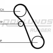 Ремень ГРМ ROULUNDS RUBBER CHDN 867 9,525M 20 RR1142 L95MC Ford Focus 1 Хэтчбек 1.8 TDCi 115 л.с. 2001 – 2004