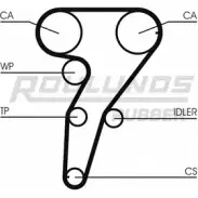 Ремень ГРМ ROULUNDS RUBBER 8ZDVW STDN 1328 8000M 24 RR1163 1054945