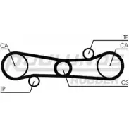 Ремень ГРМ ROULUNDS RUBBER V2AY1UI RR1358 367 LA 067 1055250