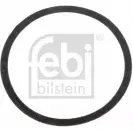 Прокладка водяного насоса (помпы) FEBI BILSTEIN 13 VO34W 1077513 4027816305675 30567
