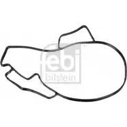 Прокладка водяного насоса (помпы) FEBI BILSTEIN 0XNA O4E 47766 4027816477662 1093378