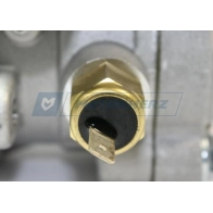 Гидроусилитель, насос ГУР MOTORHERZ BH 4I9R 1440600897 P1314HG - Изображение 8
