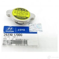 Крышка радиатора HYUNDAI/KIA 2533017000 TS 403LF 24410162 - Изображение 2