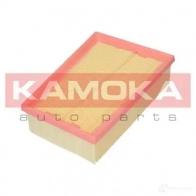 Воздушный фильтр KAMOKA 1660497 0UYA1 BD f213401
