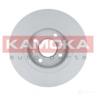 Тормозной диск KAMOKA 103117 1653287 ZZJ4 73P - Изображение 2