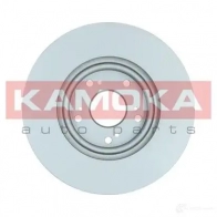 Тормозной диск KAMOKA 1031127 1653266 UQ FQ13I - Изображение 2