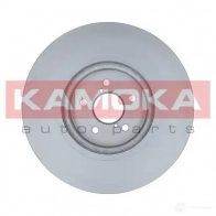 Тормозной диск KAMOKA 103303 1653600 6STR 5BS - Изображение 2