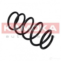 Пружина KAMOKA 2110291 1656169 Z1 VEY2K - Изображение 4
