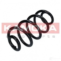 Пружина KAMOKA FQG0Y QB 1656519 2120304 - Изображение 3