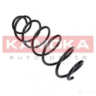Пружина KAMOKA 5908242627540 2110130 1656011 70P F2 - Изображение 4