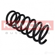 Пружина KAMOKA 1YP2Q E 2120315 1656529 - Изображение 4