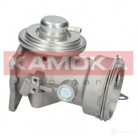 Клапан ЕГР KAMOKA 19035 1218625468 N BZ6K - Изображение 4