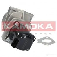 Клапан ЕГР KAMOKA 19028 1218625364 F1 467